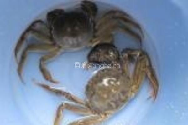 咸蛋毛蟹炒年糕的做法图解1