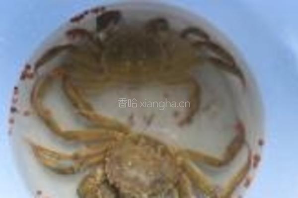 咸蛋毛蟹炒年糕的做法图解4