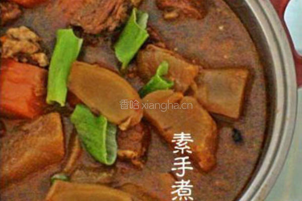 萝卜烧牛肉
