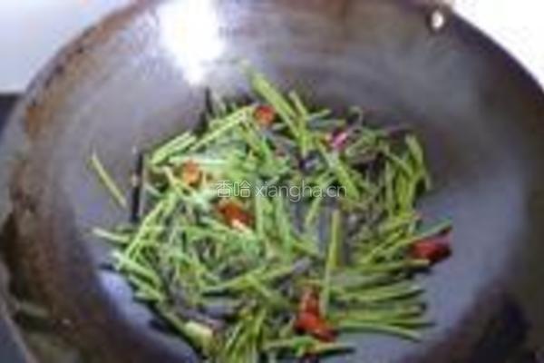 炒酸辣蕨菜的做法图解5