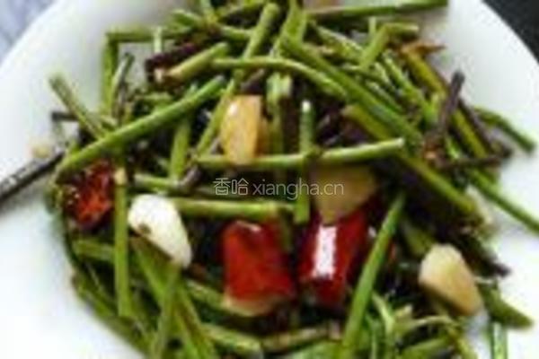 炒酸辣蕨菜的做法图解7