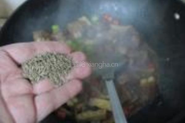 孜然卤香排骨的做法图解14