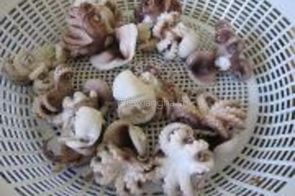 墨鱼仔炒黄瓜的做法图解3