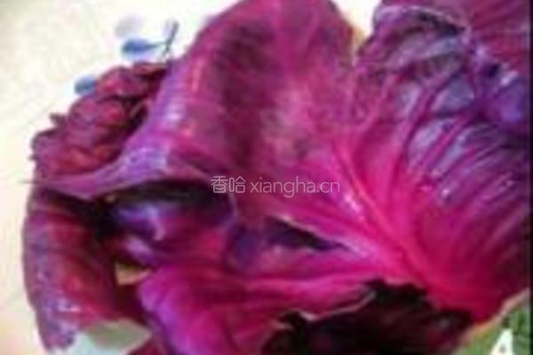 凉拌炫彩丝的做法图解4