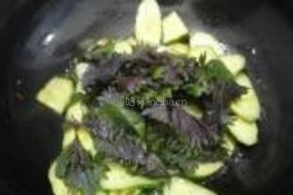 紫苏煎黄瓜的做法图解7