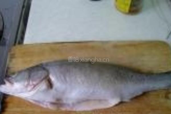 辣腐乳蒸海鲈鱼的做法图解1