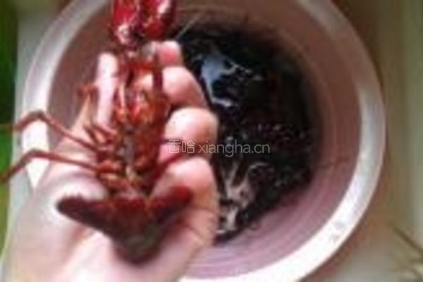 麻辣小龙虾的做法图解3