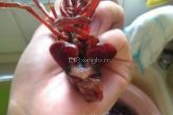 麻辣小龙虾的做法图解4