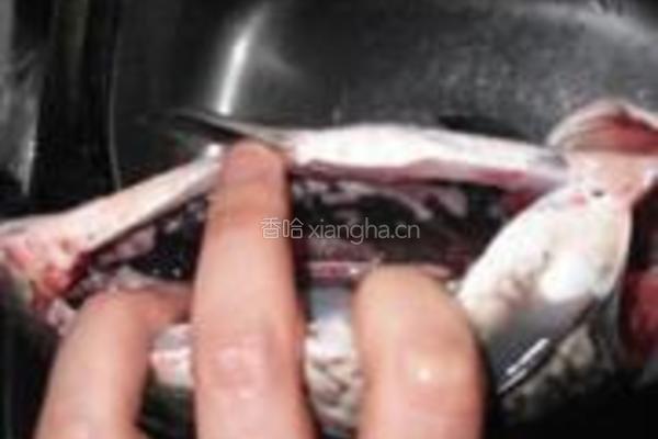砂锅什锦鲫鱼汤的做法图解1