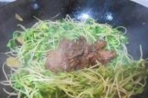 黑豆芽炒牛肉的做法图解8
