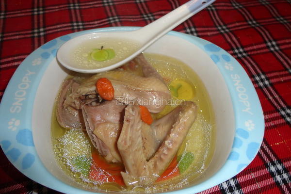 清炖鸽子汤