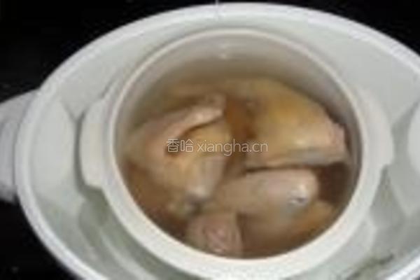 清炖鸽子汤的做法图解4