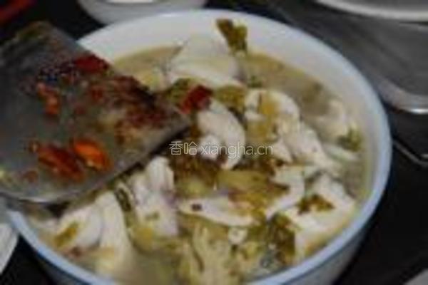 酸菜鱼的做法图解13