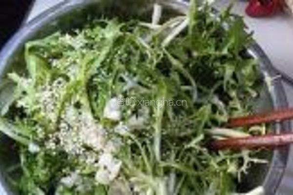 糖醋苦菊的做法图解8