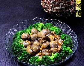 蚝油烧草菇