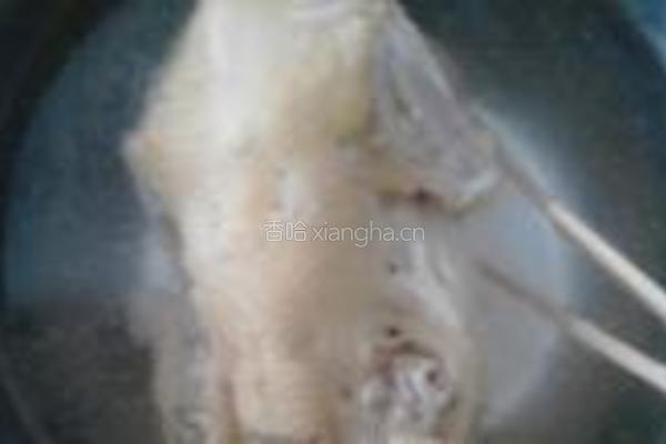 广东白切鸡的做法图解4