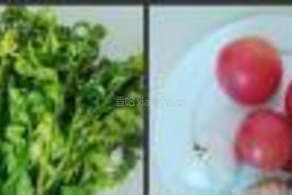 蕃茄炒水蕨菜的做法图解1