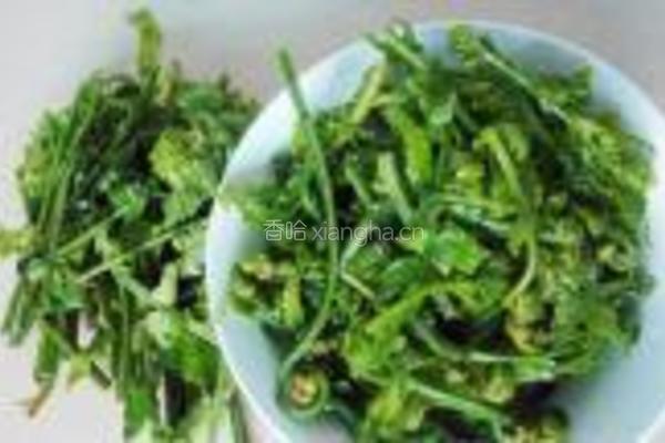 蕃茄炒水蕨菜的做法图解2