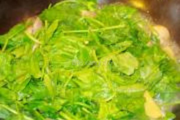 上汤豆苗的做法图解8