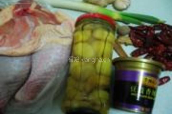 辣焖栗子鸡的做法图解1