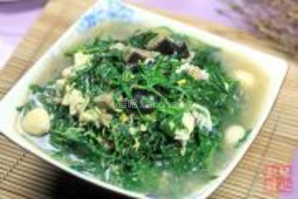 皮蛋瘦肉煮辣椒叶的做法图解7