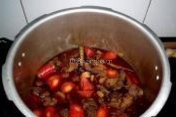 胡萝卜竹笋烧牛肉的做法图解11