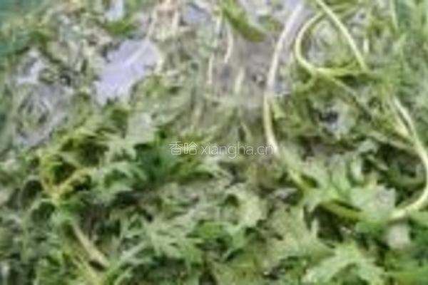 茼蒿炖带鱼的做法图解3