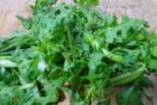 茼蒿炖带鱼的做法图解4