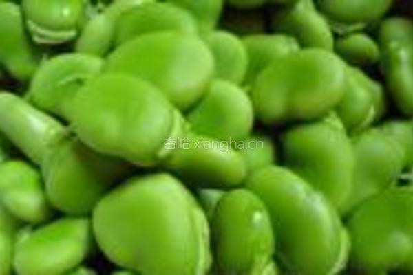 蒜香青蚕豆的做法图解2