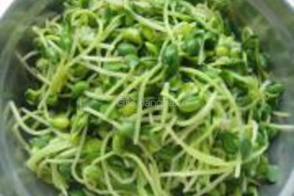 蒜蓉黑豆芽的做法图解5