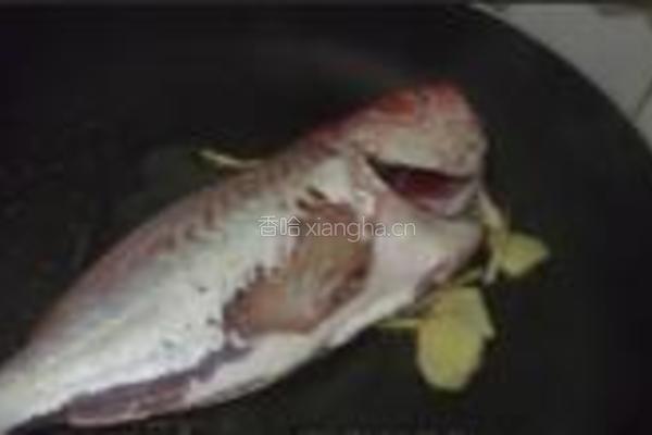大眼鸡煮番茄的做法图解6