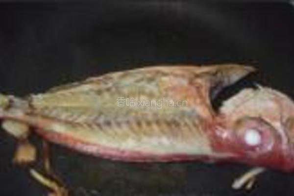 大眼鸡煮番茄的做法图解7