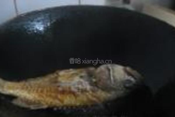 煎石斑鱼的做法图解3
