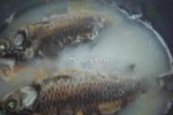 鲫鱼花蛤枸杞叶汤的做法图解8