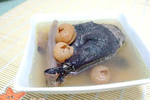 爱心乌鸡汤