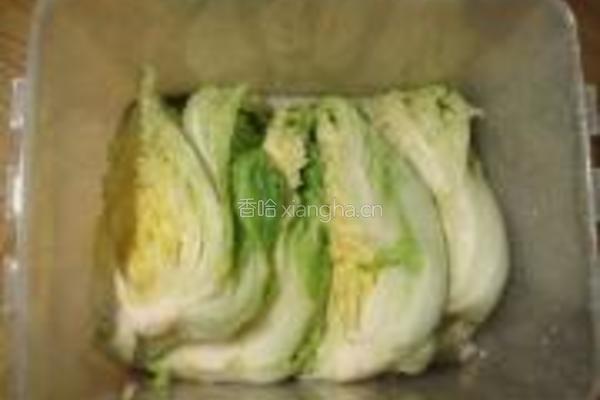 朝鲜辣白菜的做法图解5