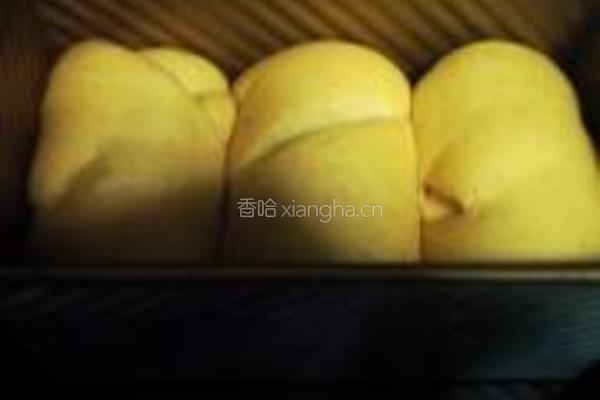 杂粮黑豆吐司的做法图解10