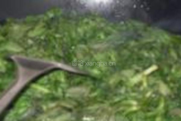 蓬蒿拌香干的做法图解2