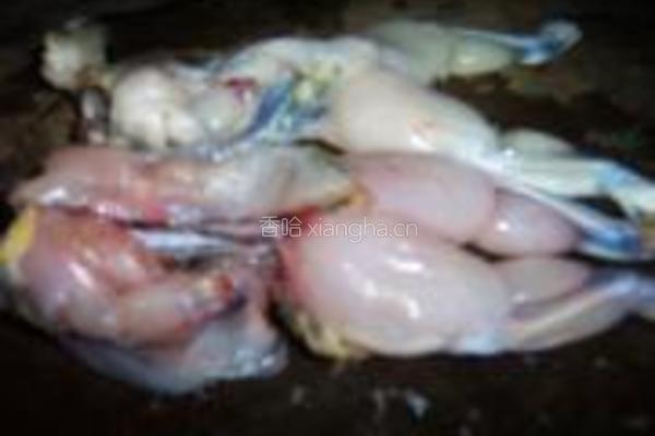 麻辣干锅田鸡的做法图解1