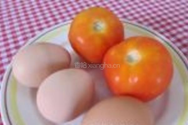 西红杮炒蛋的做法图解1