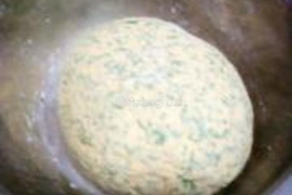 胡萝卜苗粗粮饼的做法图解4