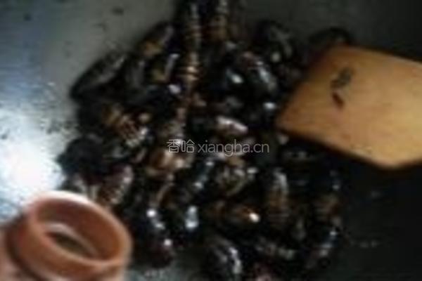 爆炒茧蛹的做法图解6