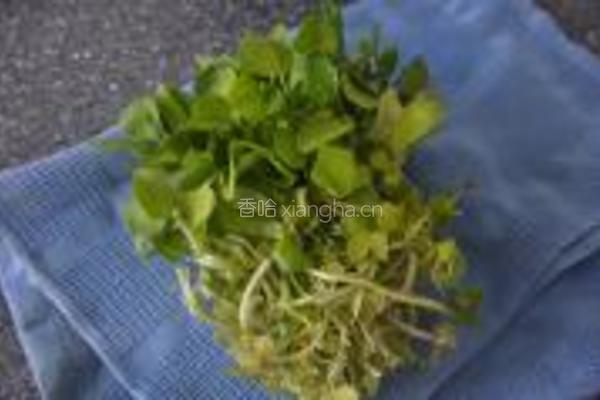 西洋菜圆子的做法图解1