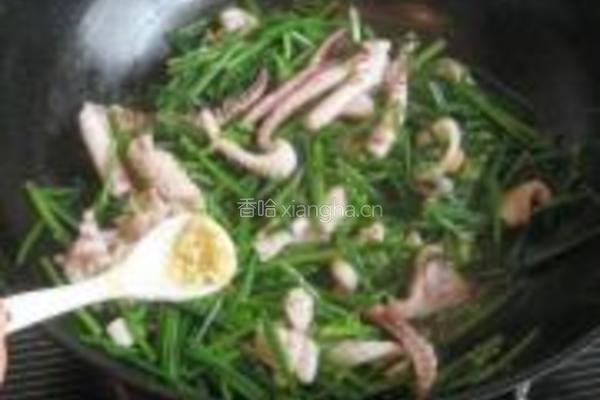 韭苔炒鱿鱼的做法图解6