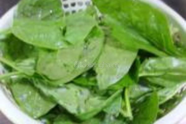蒜香木耳菜的做法图解1