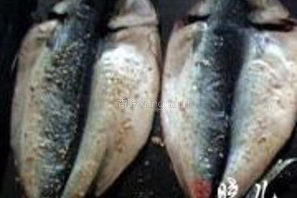 香辣烤鲅鱼的做法图解4