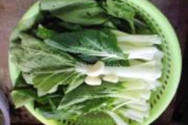 蒜蓉爆白菜的做法图解1
