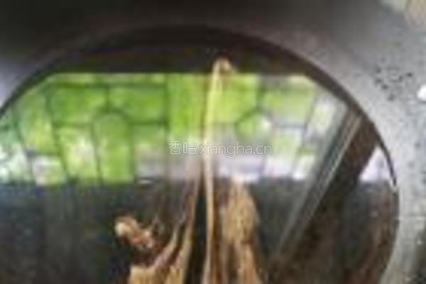 青蒜炒腊肉的做法图解2