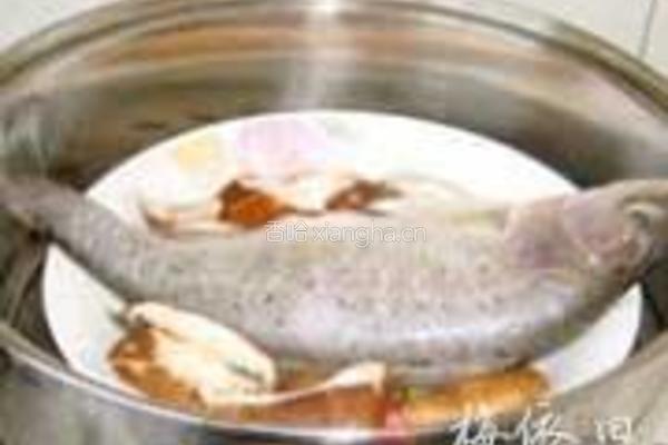 清蒸鲈鱼的做法图解4