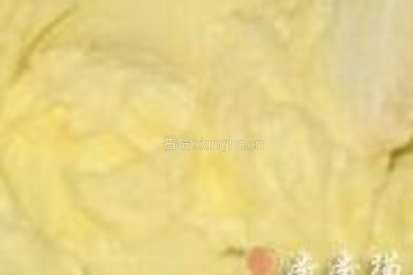 向日葵芒果挞派的做法图解5